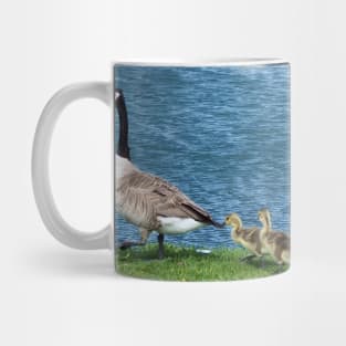 Canada Geese and Gosling Family Mug